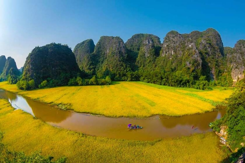Xuôi theo dòng chảy sông Ngô Đồng và ngắm nhìn những cánh đồng lúa chín trải dài hai bên bờ