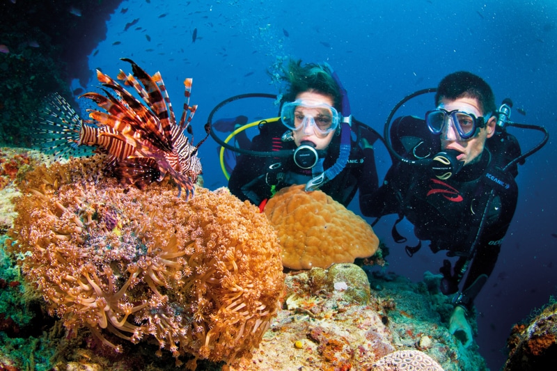 tour-nha-trang-nghi-duong-6